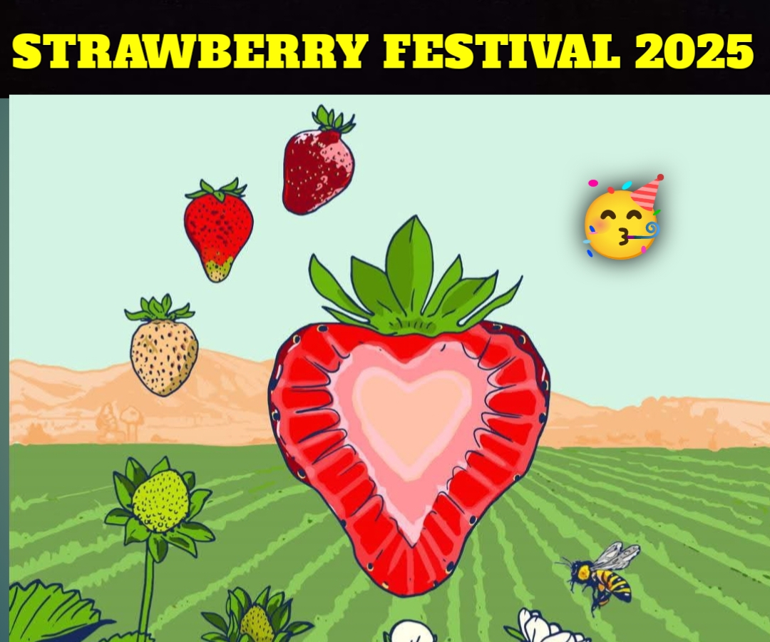 Magical Strawberry Festival 2025: A Sweet Celebration You Can’t Miss!
