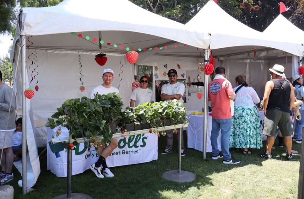 Strawberry Festival 2025